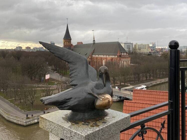     Фото: архив «МК в Калининграде»