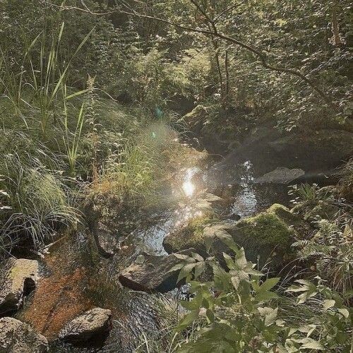 #любовь #романтика #студенты #май #зависть