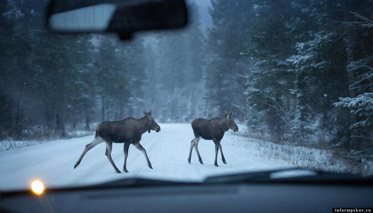 Изображение сгенерировано ИИ и носит иллюстративный характер
