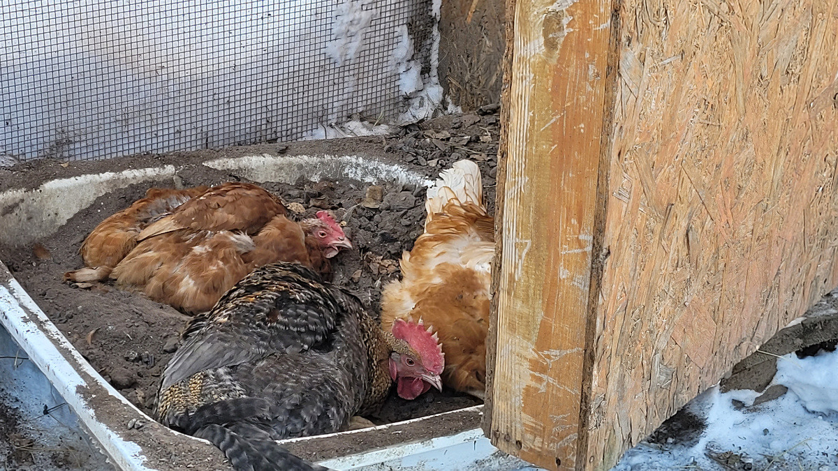 И Павлик тоже купается.