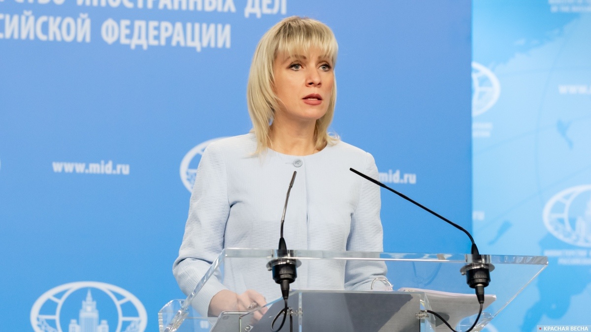     Мария Захарова   
Петр Данилов © ИА Красная Весна