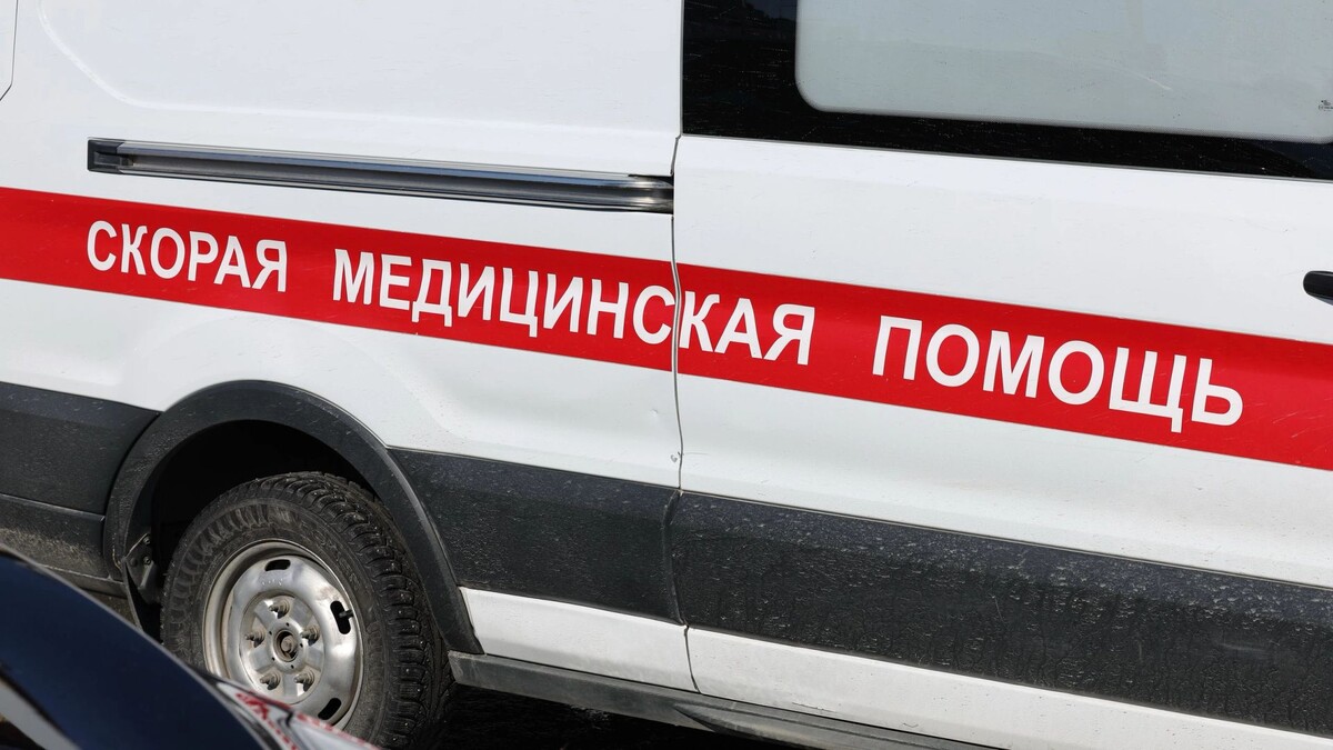    Фото: Андрей Ткачёв/АНО «Ямал-Медиа»