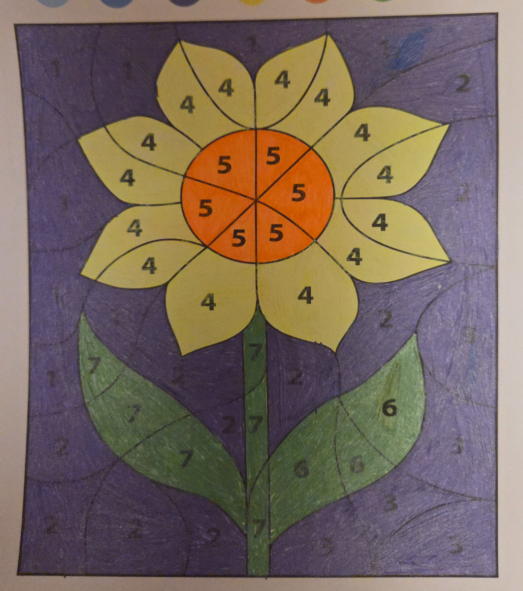 100 картинок. Фото автора.