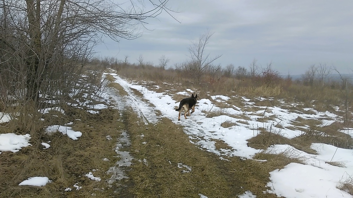 Фото автора. Не кривой горизонт, а склон. 