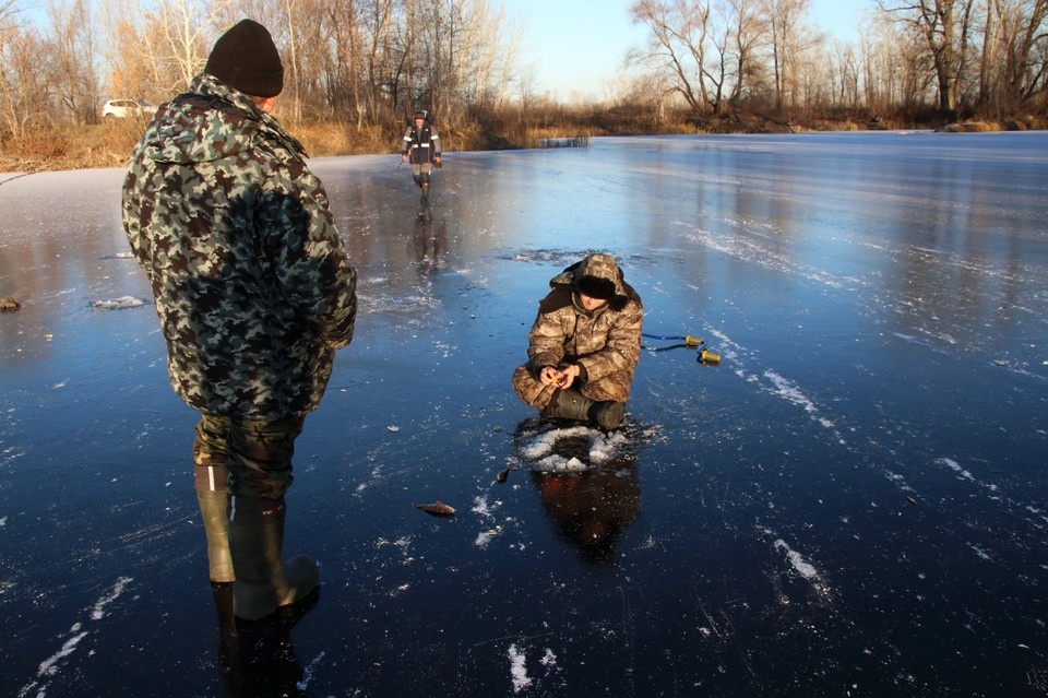    Анализ причин массового замора рыбы в реке Ея и Бестерном канале Сергей КУРОЧКИН
