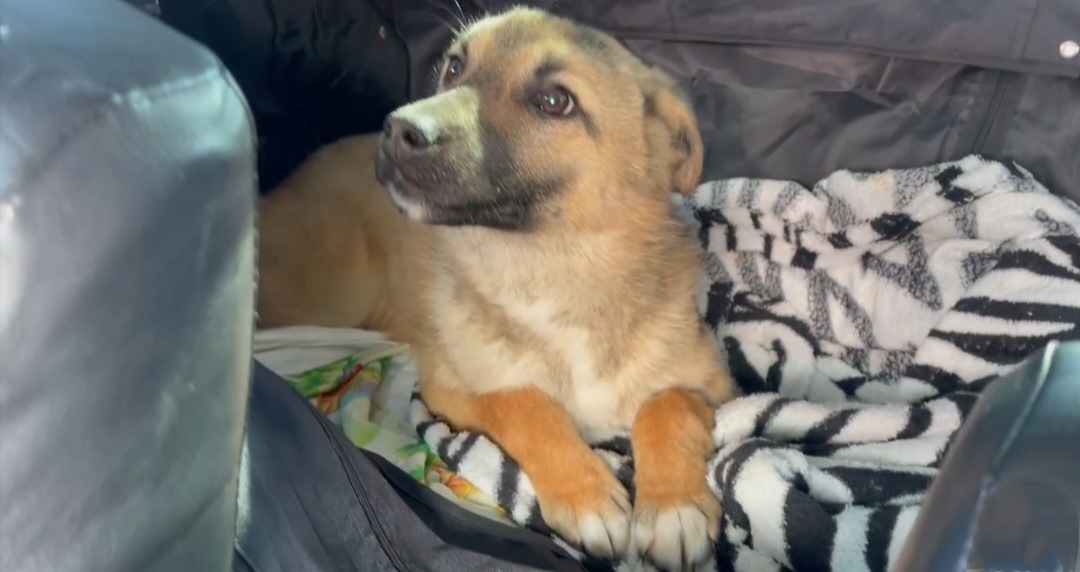 Солнышко Маша 