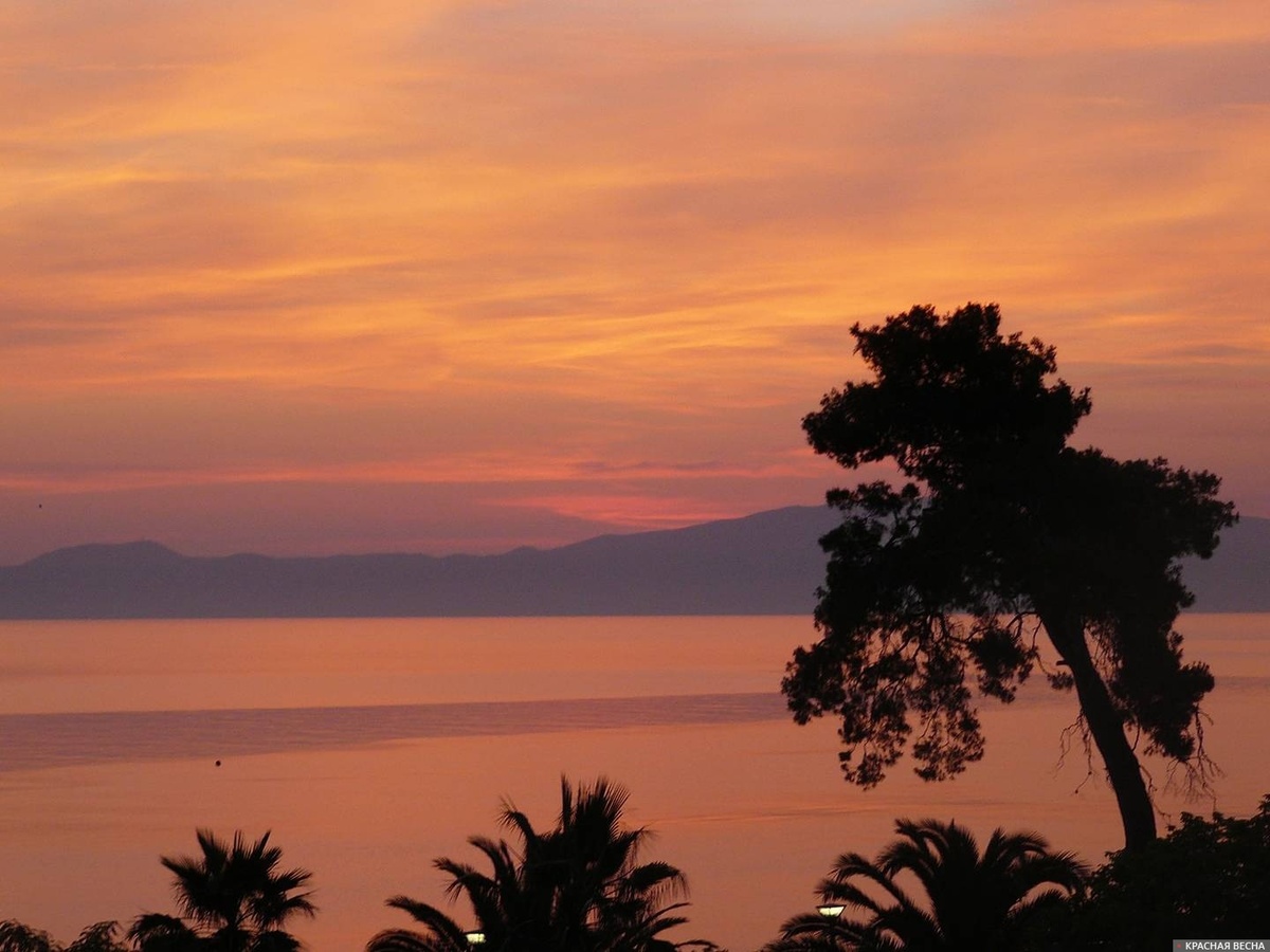     Греция   
Сергей Орлов © ИА Красная Весна