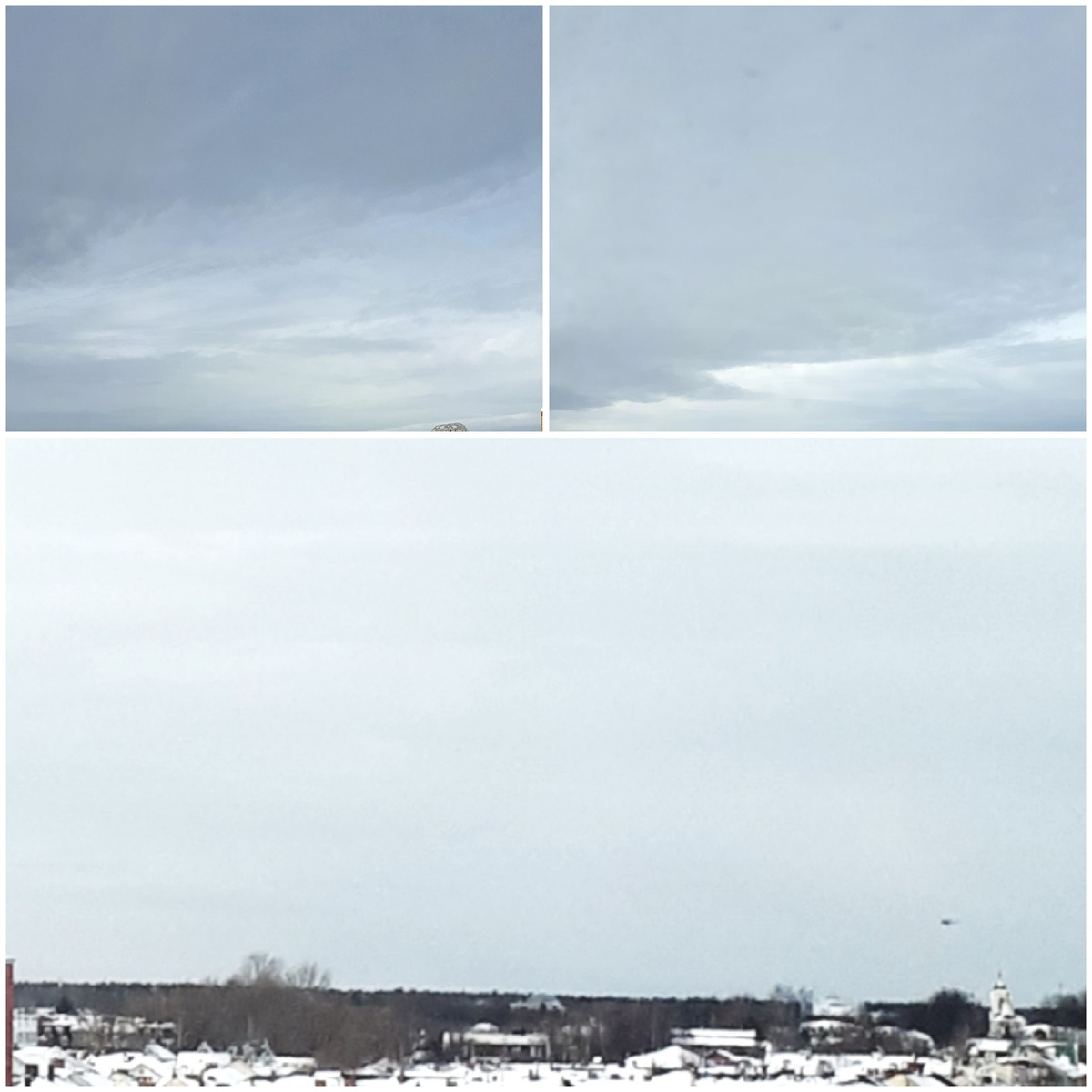 Коллаж автора 22.02.2026г.