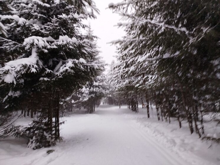     Мальчика нашли и передали родным. Фото из архива "МК в Питере"