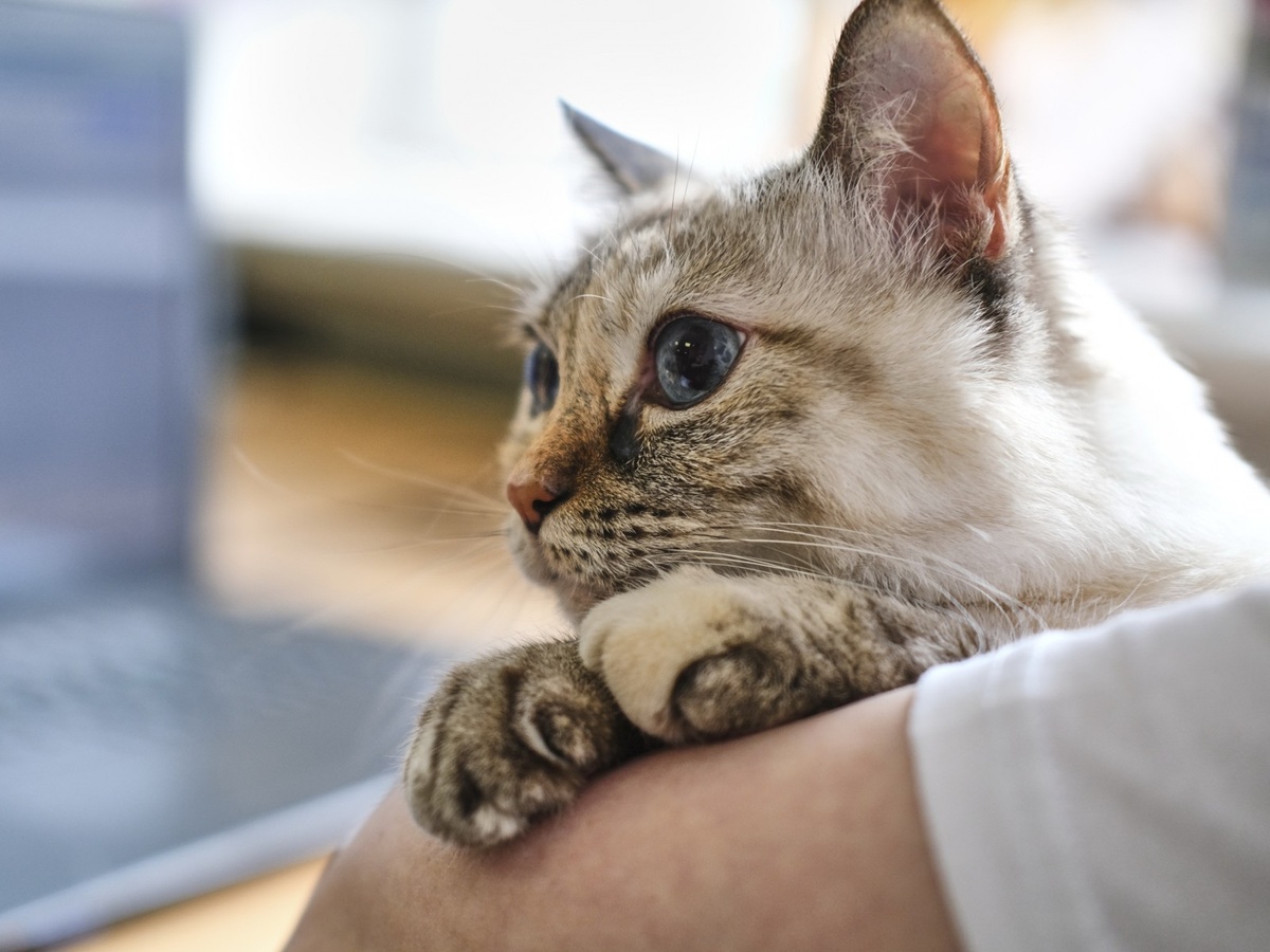     Фото: It's My City