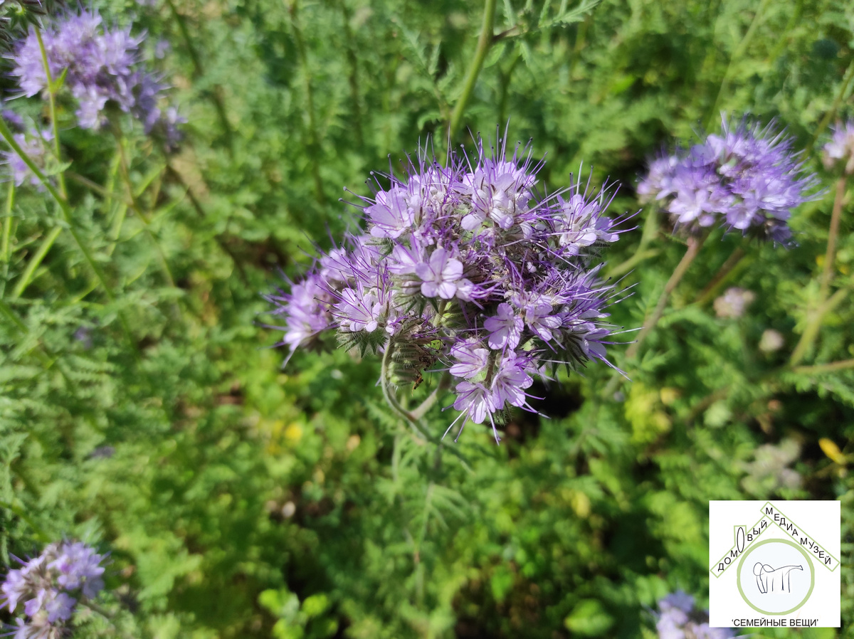 Вятские пейзажи. Фото из личного архива автора канала