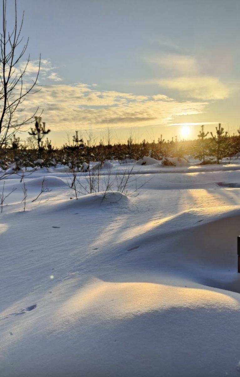 Несмотря на количество снега, весна уже где-то рядом. Солнце само по себе +1000 к настроению.