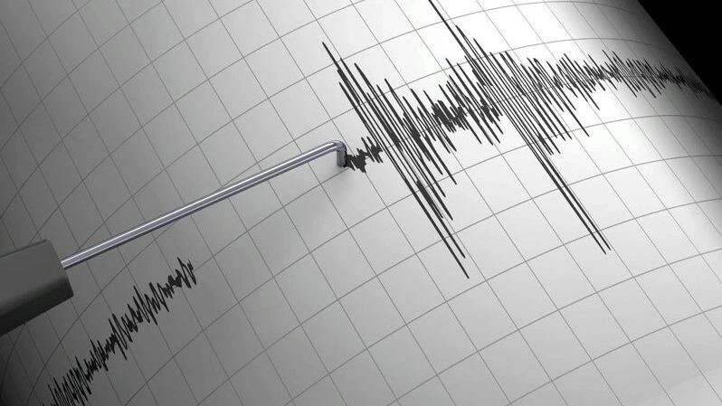    Фото: McCarony/Shutterstock/Fotodom