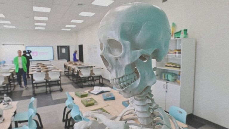    Иллюстрация к материалу: Обществознание уберут из 8-х классов: что это значит для школьников и родителей