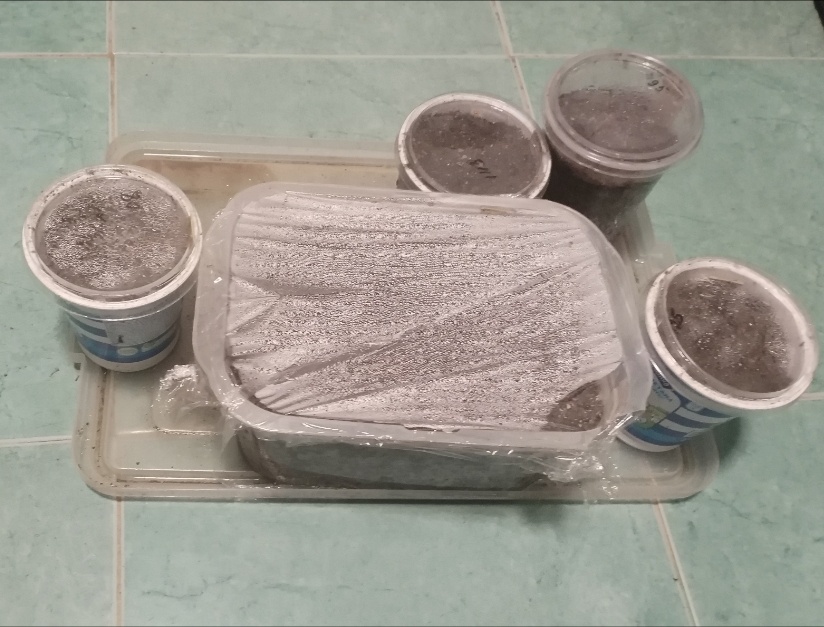 БоХатство)))) 