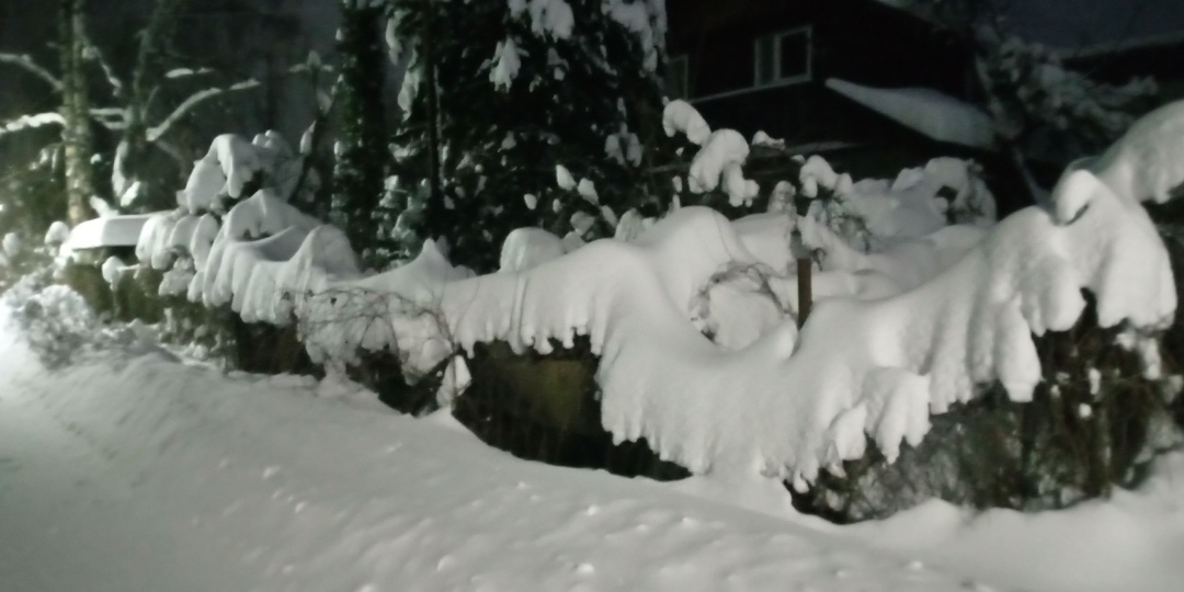 Дорогие, не волнуйтесь,