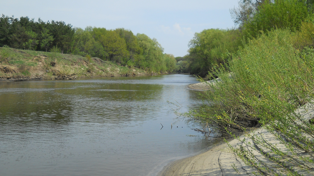 Река с течением