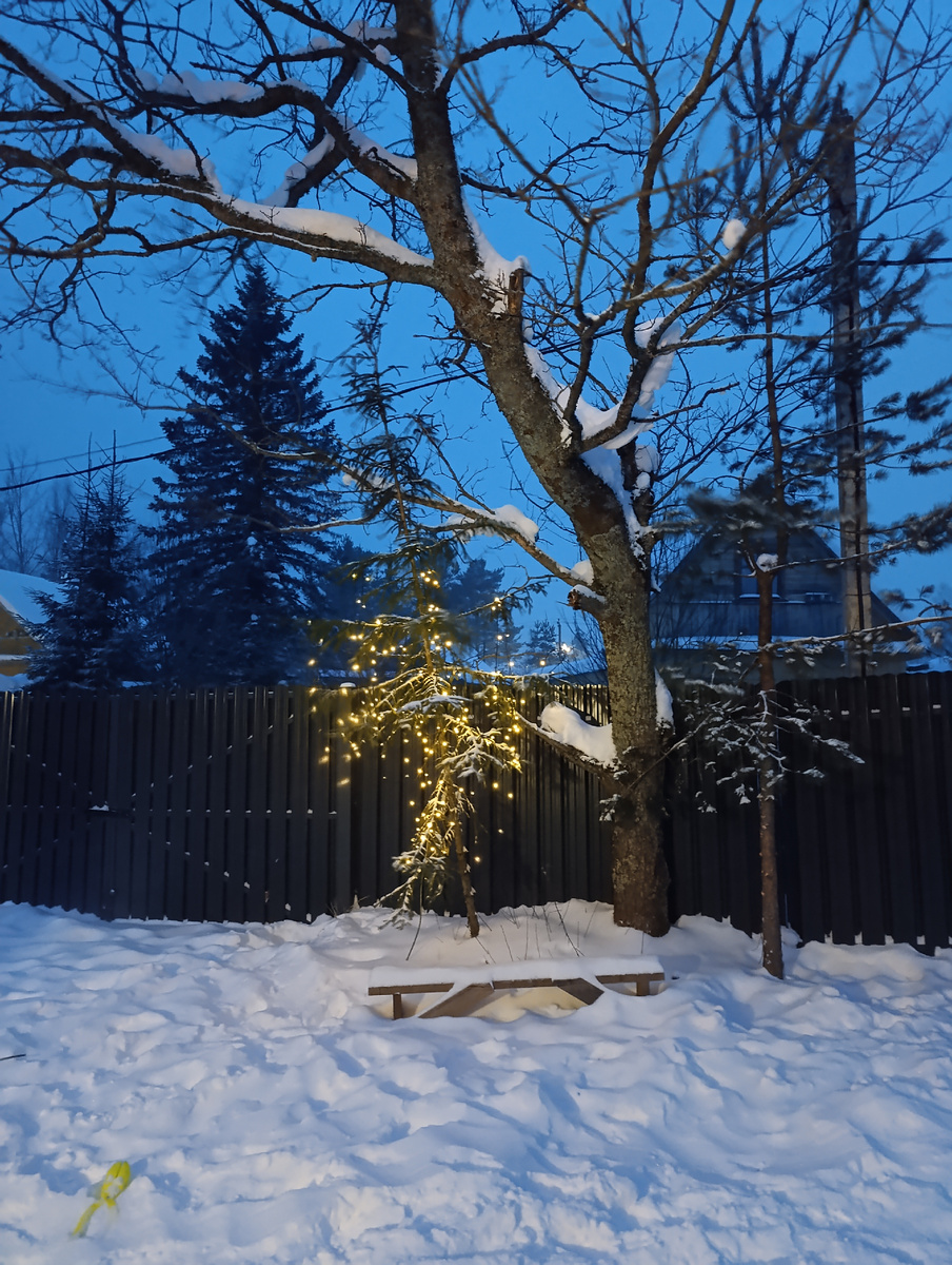 Вот такая ёлочка у нас во дворе 😄