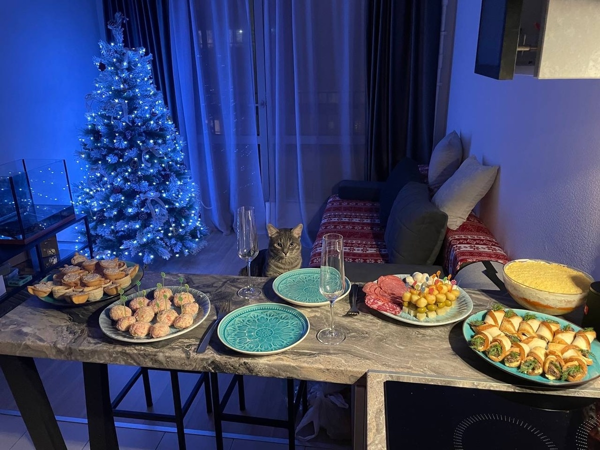  От меня новогодний приветик 😋🌲 Просто было не досуг вам послать его раньше 😽👑