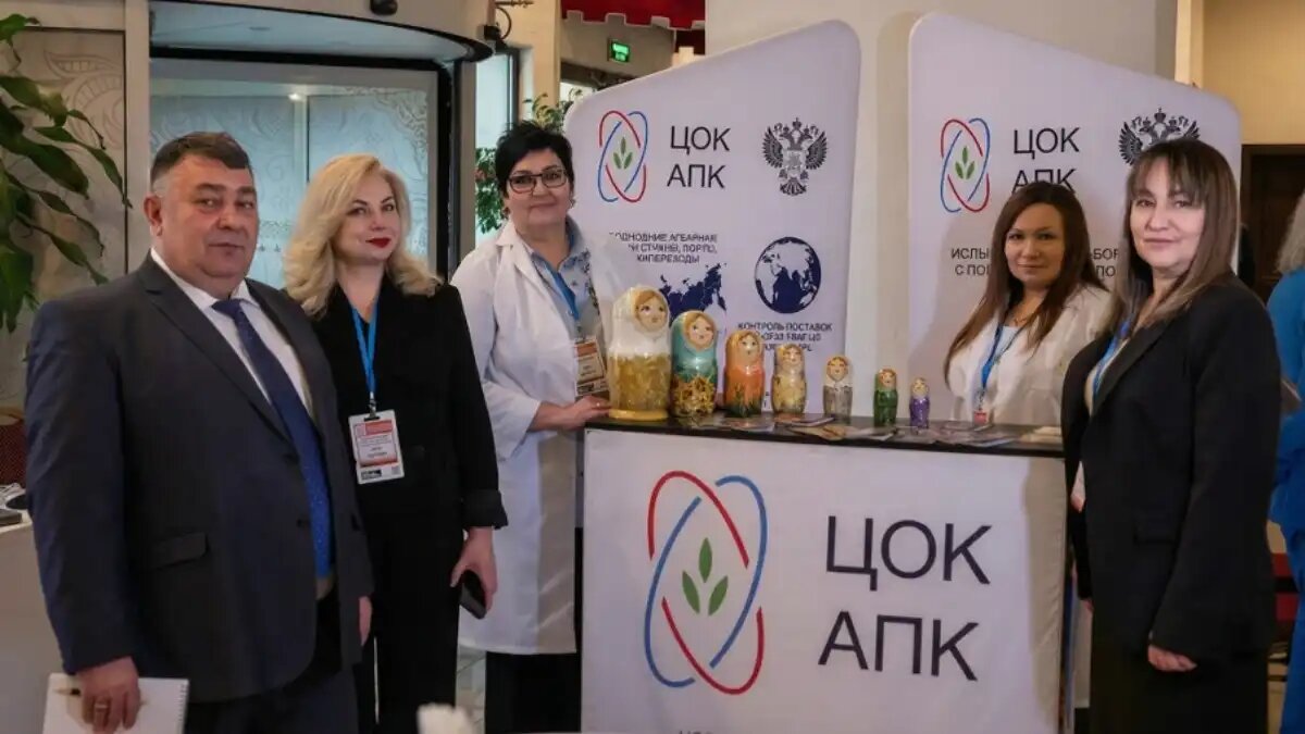 Фото: пресс-служба Новороссийского филиала ФГБУ «ЦОК АПК»
Первый заместитель директора ФГБУ «ЦОК АПК» Инна Зайченко выступила на форуме «Зерно России – 2026»