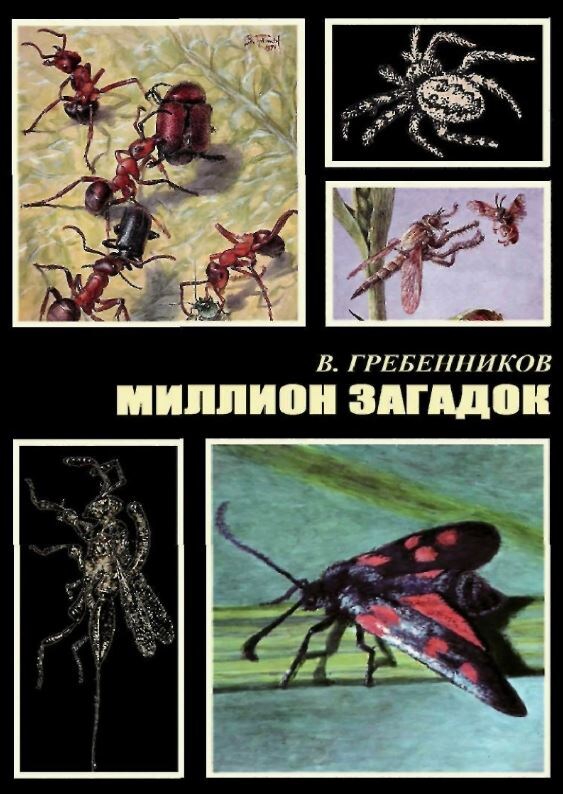 Обложка, фото из Сети