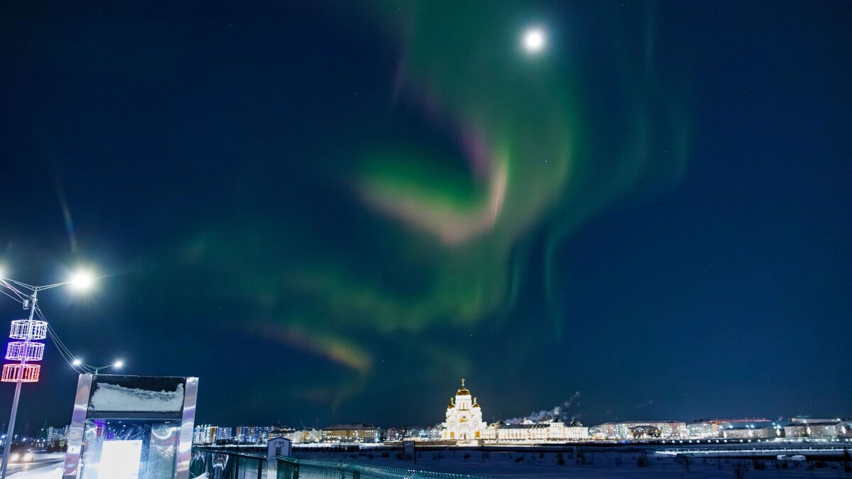    Фото: Федор Воронов / «Ямал-Медиа»