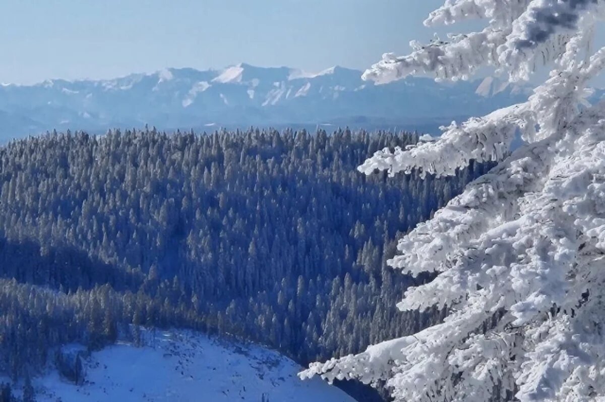    Гололед и снег: какая погода в Хабаровском крае 23 февраля 2026