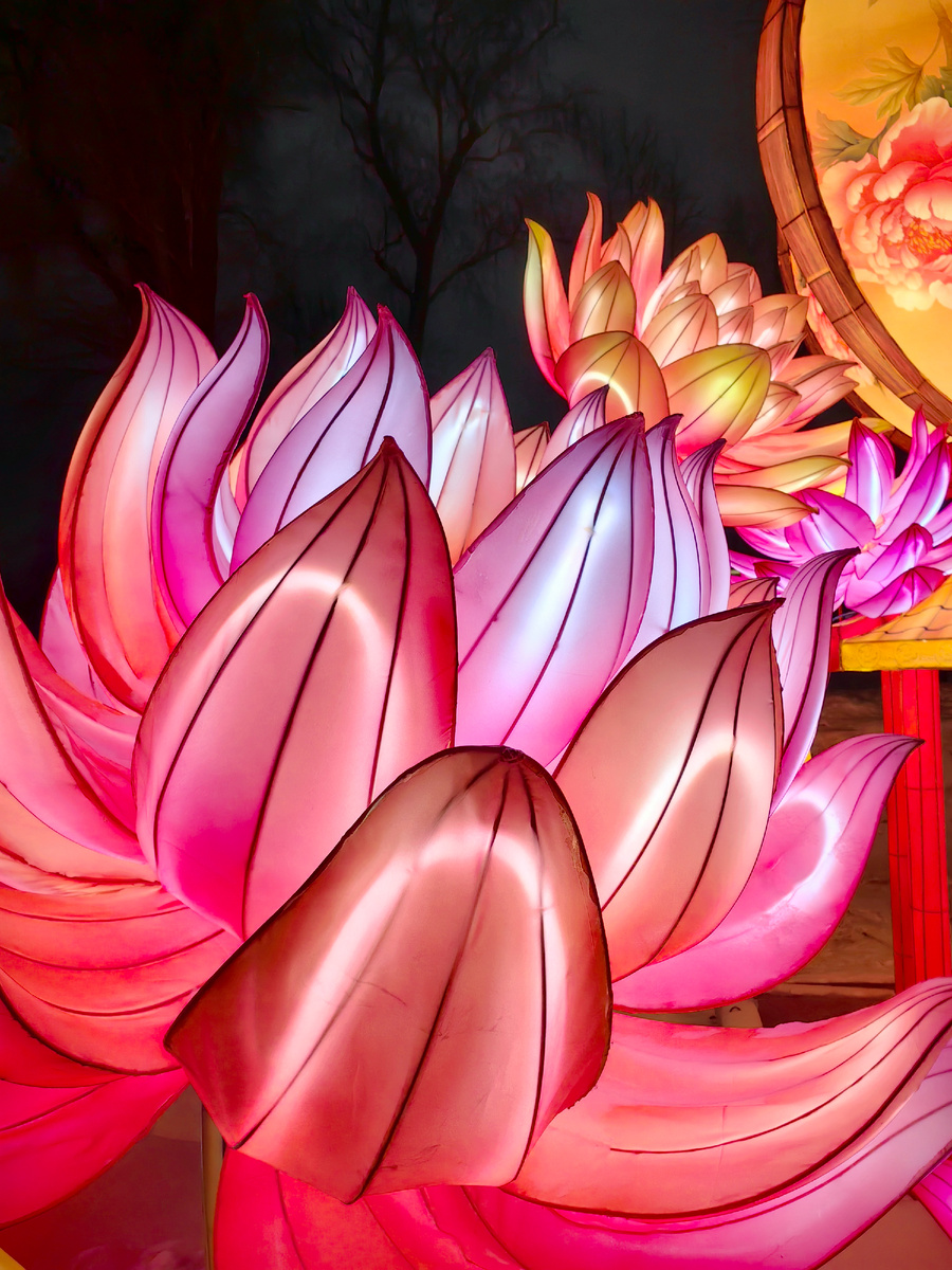 Фестиваль китайских фонарей СПб