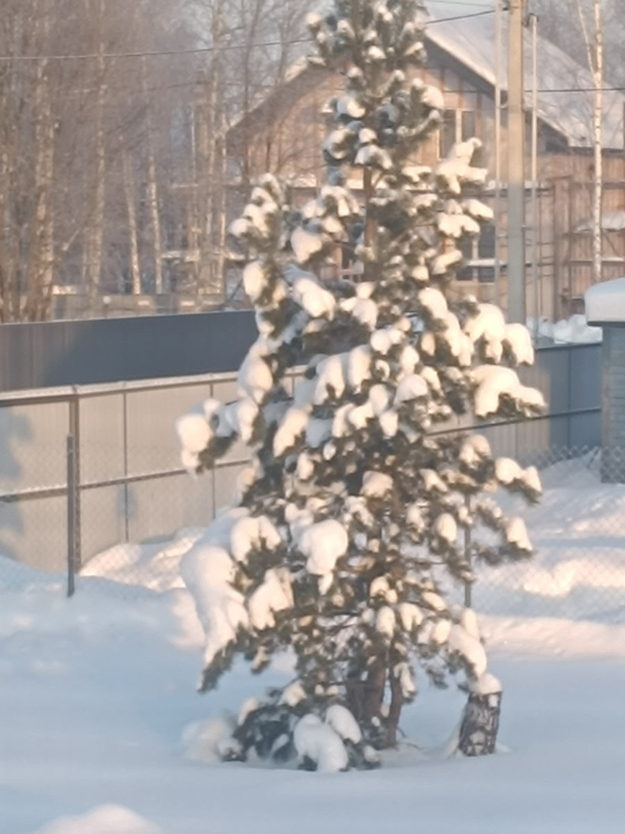 Вид из окна, но всё равно грустно.... 