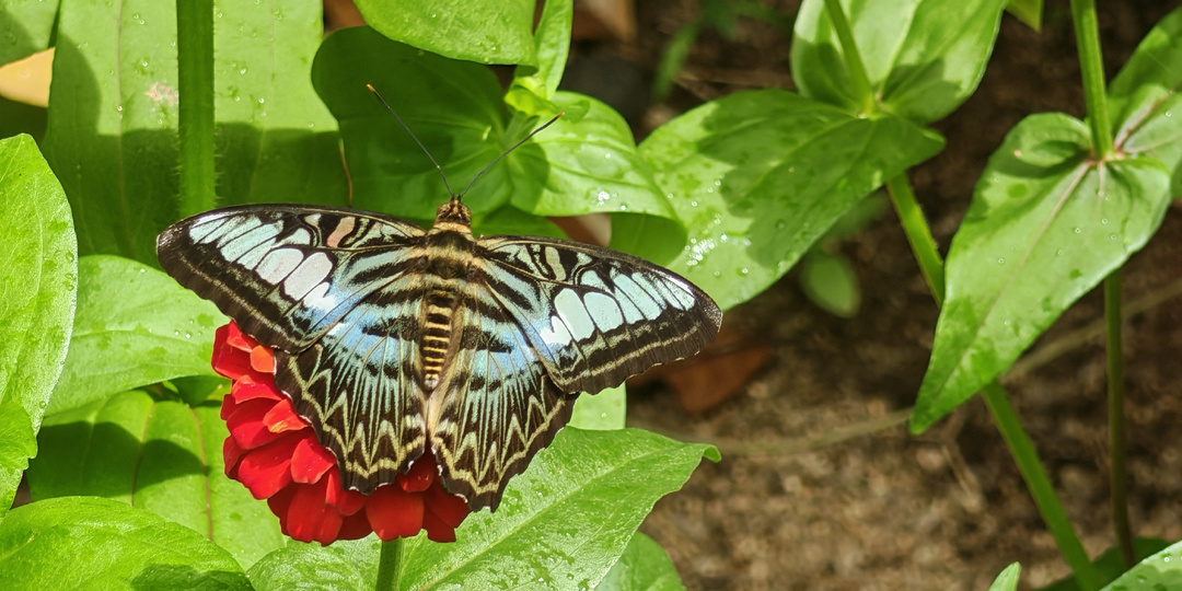 Путешествия на острова