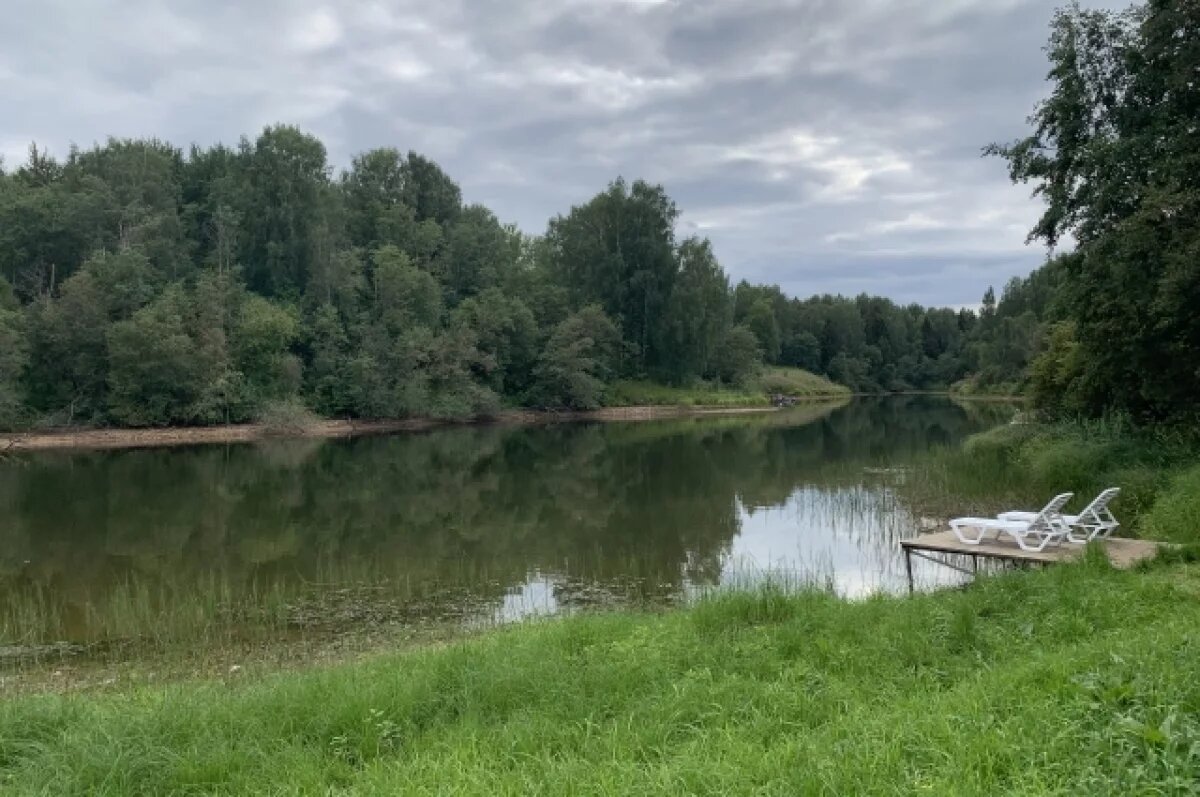    В Калининграде началась масштабная расчистка реки Товарной