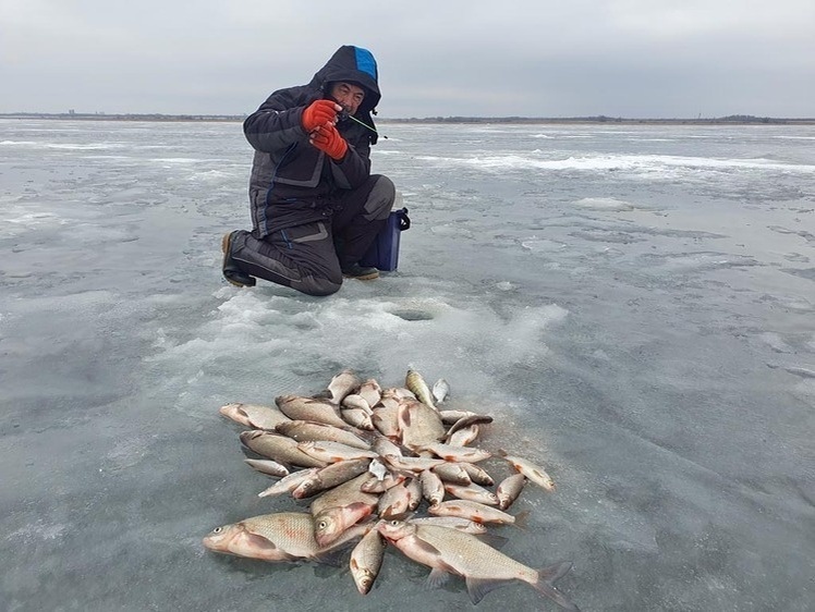     Фото: Коломийца Алексея.