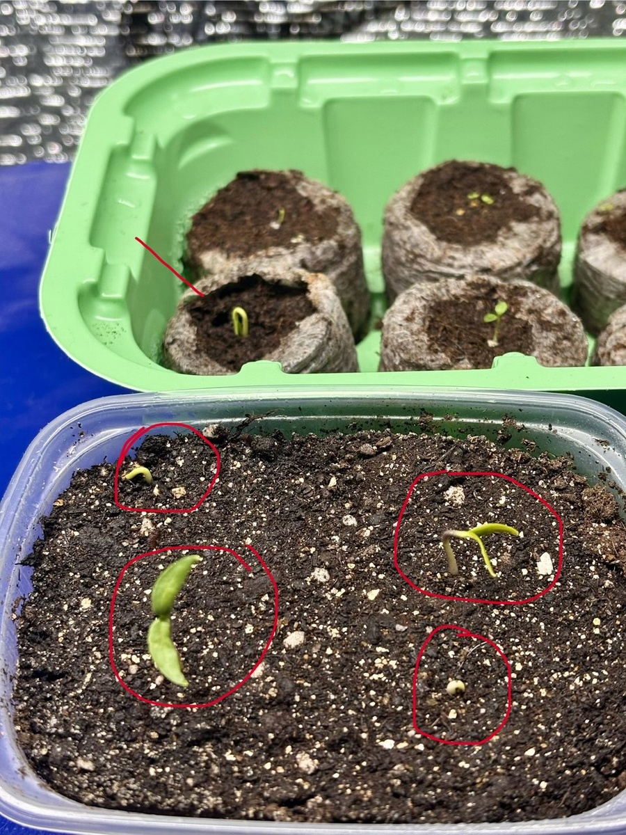 19 февраля утро