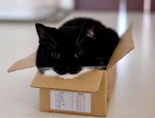 Стены коробки создают чувство безопасности и снижают уровень стресса.