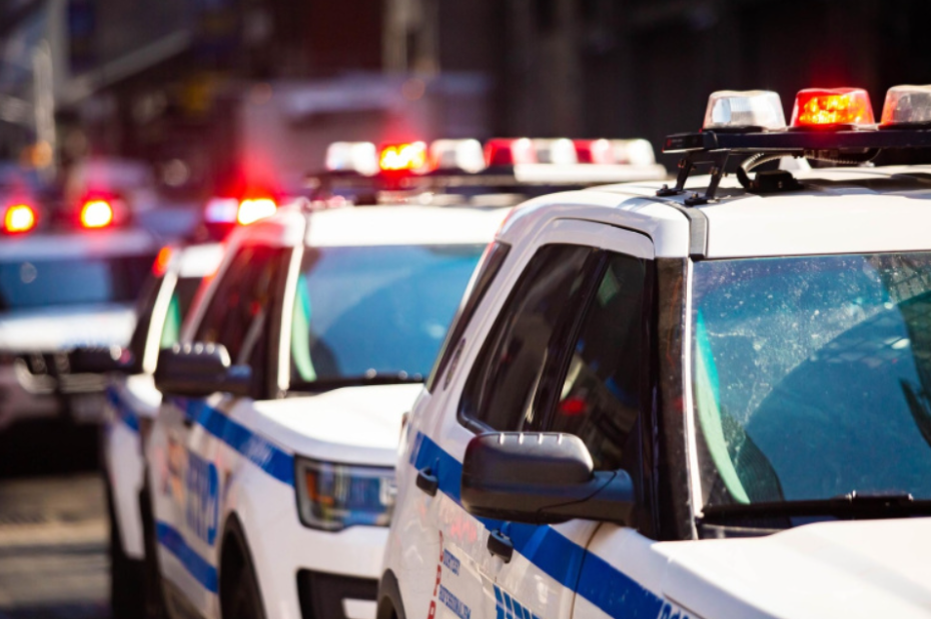    Shutterstock/FOTODOM