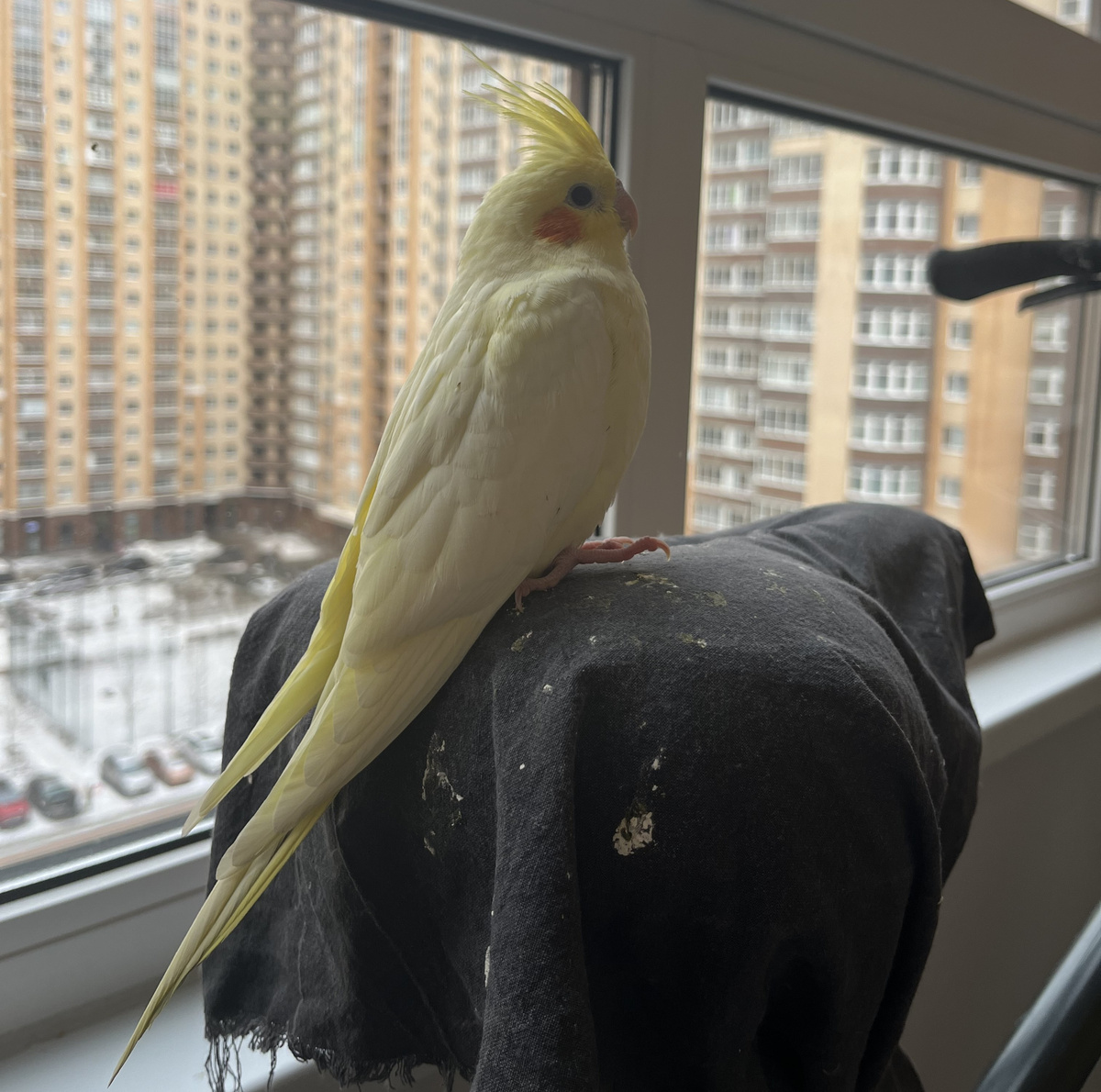 Третий. А за окном еще снег...