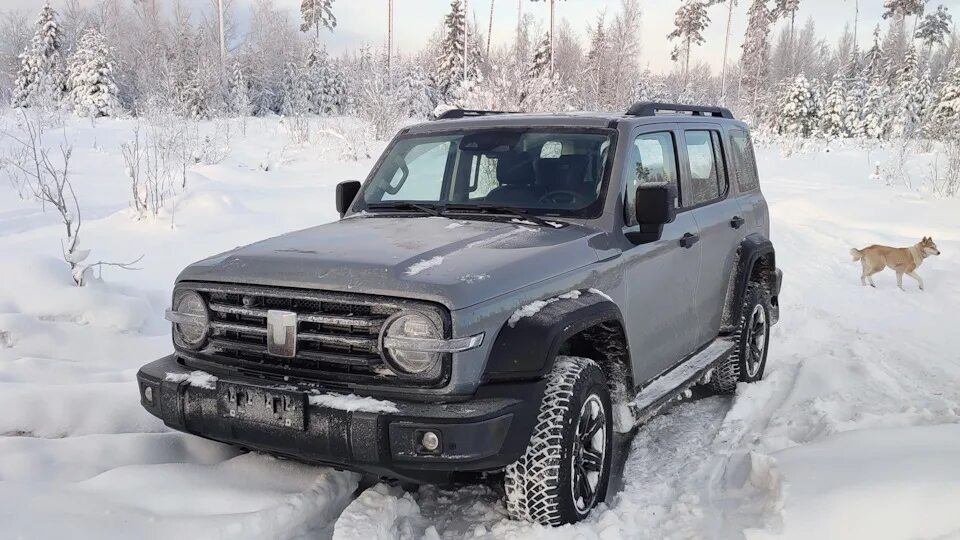 Фото из открытых источников 