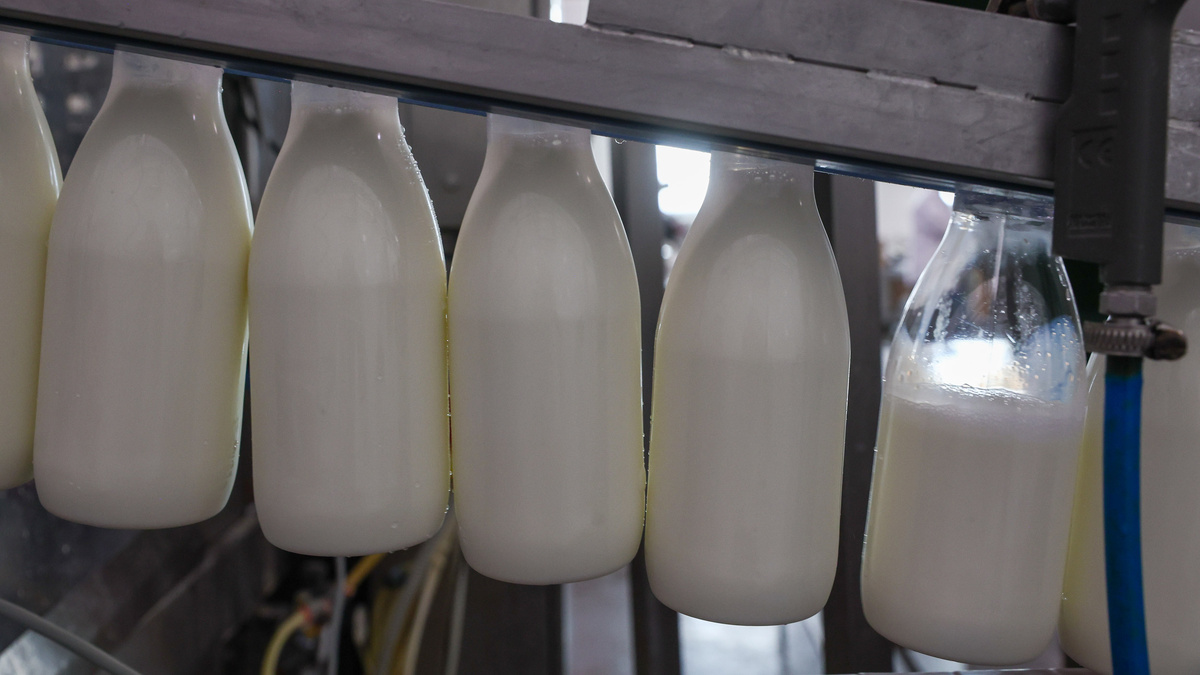    Молоко молочный завод молокозавод производство продукция ГЛ