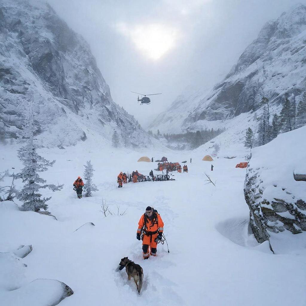 Большинство читателей считают, что нужно продолжать поиски.  Фото: Изображение сгенерировано нейросетью / Станислав Казаченко