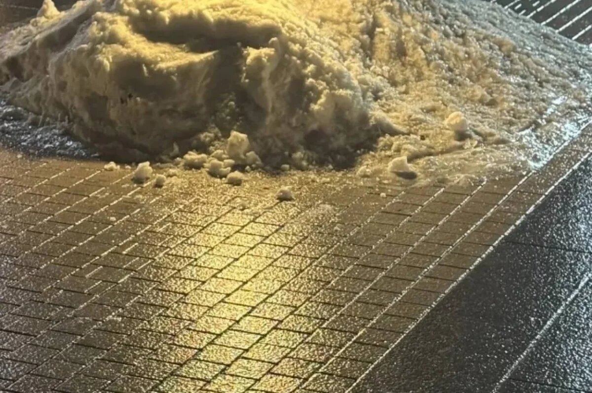    В Хабаровском крае зимний дождь с ветром превратил всё в сплошной лёд