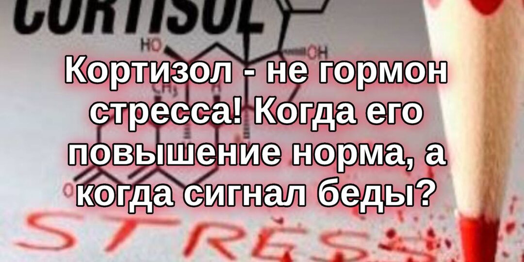 Кортизол — не гормон стресса: когда его повышение норма, а когда сигнал беды?