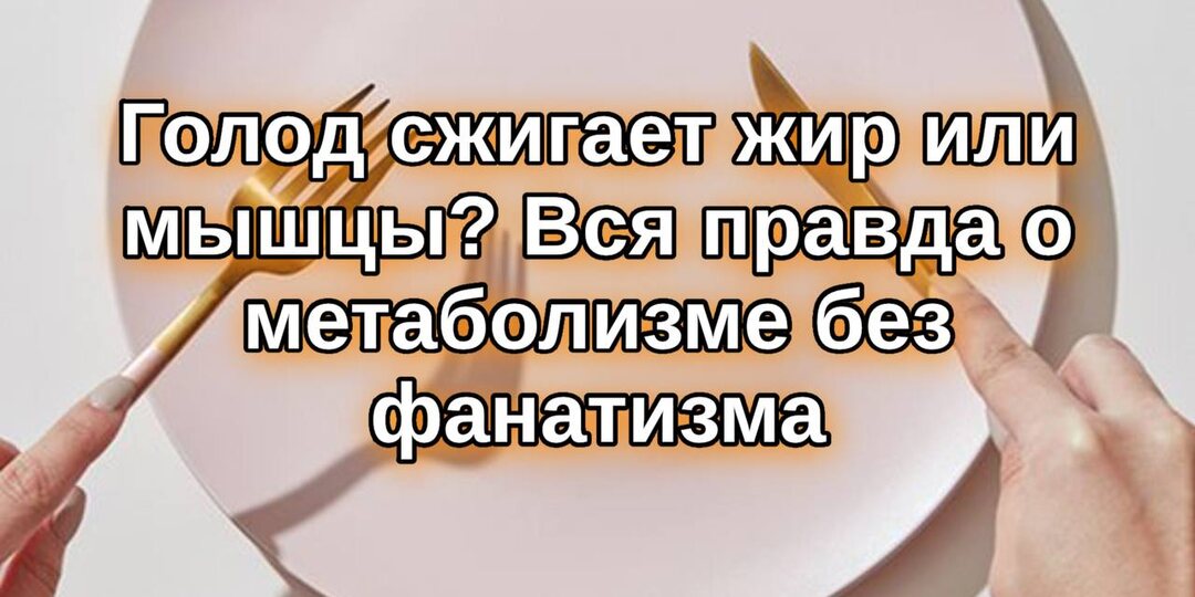 Голод: сжигает жир или мышцы? Вся правда о метаболизме без фанатизма