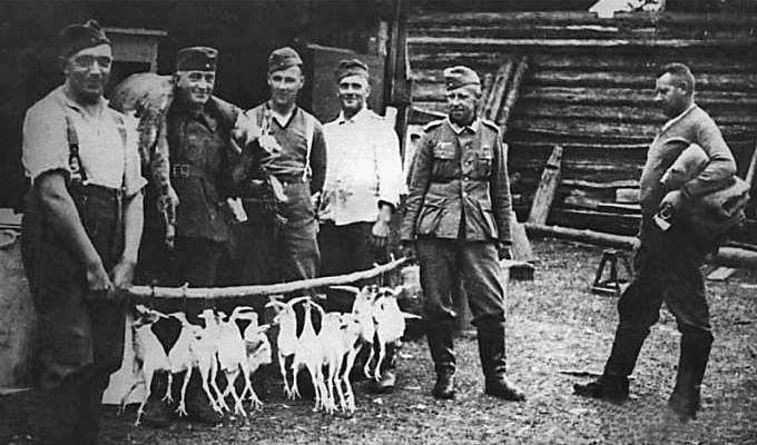 Фото из открытых источников