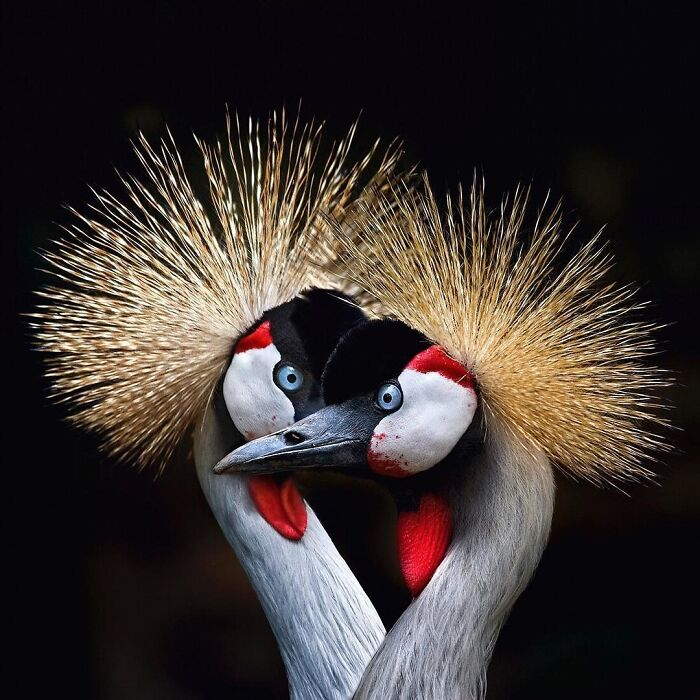 Фотография Марины Кано. Источник: www.photocrowd.com