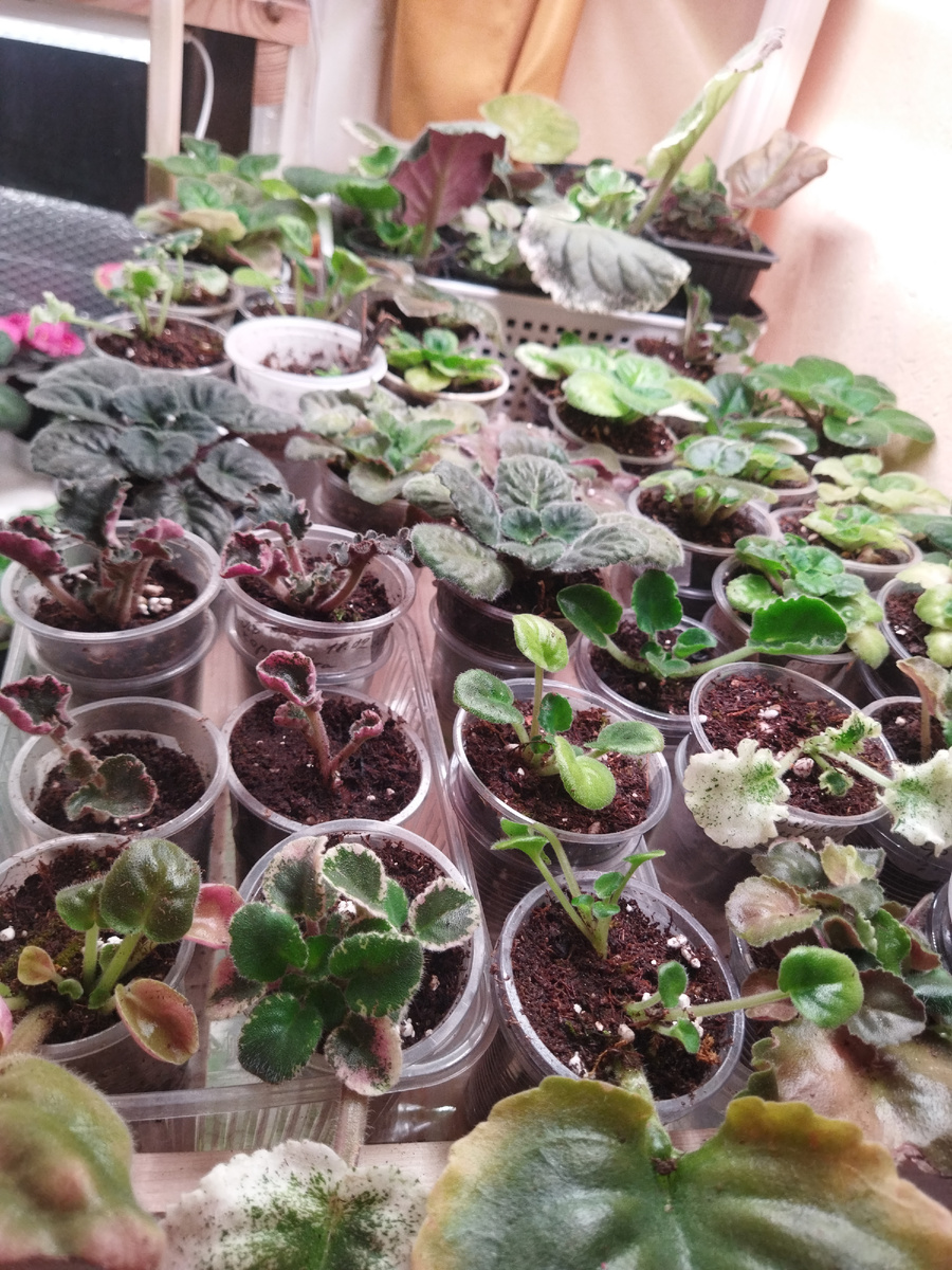 Мои детки😊🤗