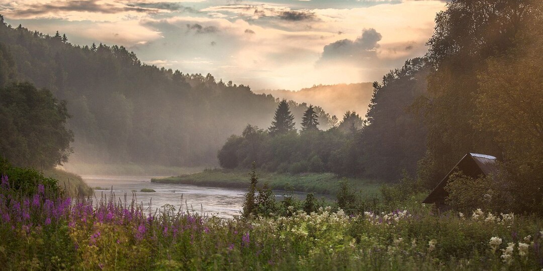 Любовь и обман