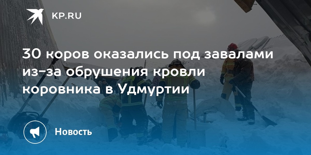 Снег тут ни при чем! — Почему рушатся крыши в Удмуртии и кто за это ответит?