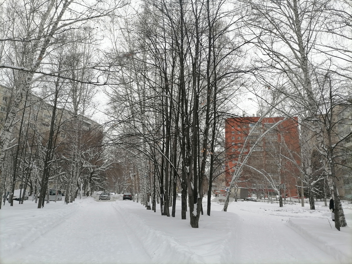 улицы моего Барнаула