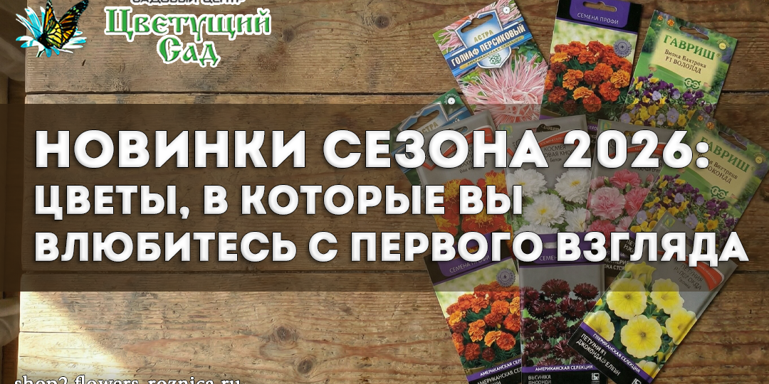 Новинки сезона 2026: Цветы, в которые вы влюбитесь с первого взгляда