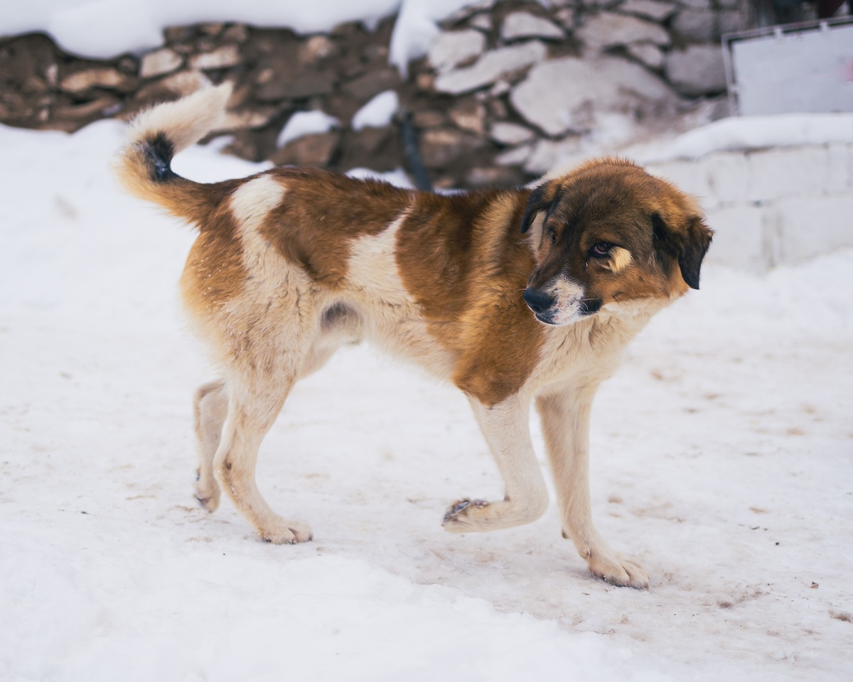    Фото с сайта pixabay.com